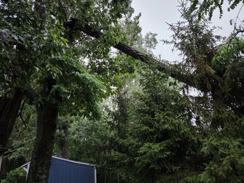 20250708_190721.jpg